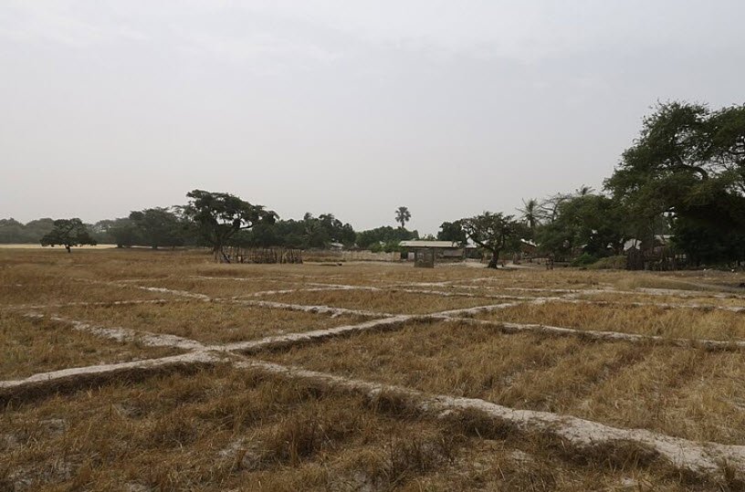 Parc National de Basse Casamance, Ziguinchor Region, Senegal